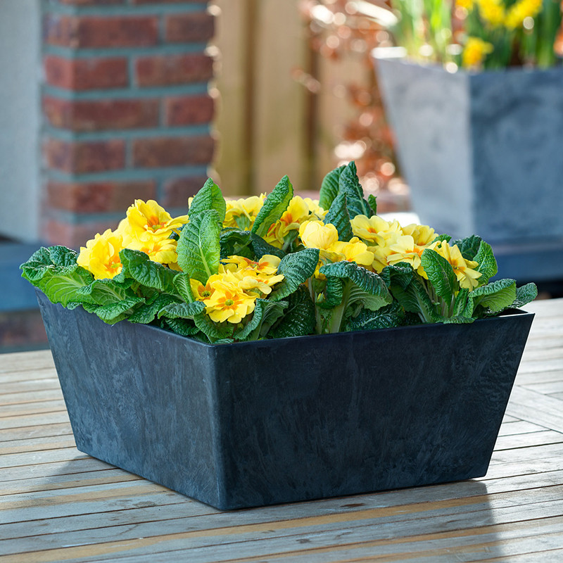 Ella Low Square Planters