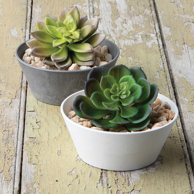 Small Bowl Planters | Artstone Resin | Root & Vessel