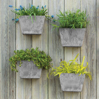 Four gray wall planters on an old vertical board wall, each with different plants