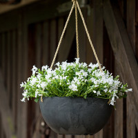 Napa Hanging Bowl Planters