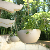 Napa Hanging Bowl Planters