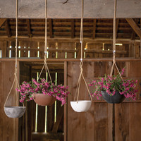 Napa Hanging Bowl Planters