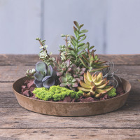 Napa Tray Planters