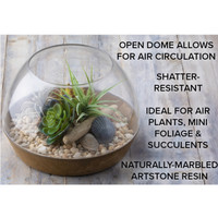 Napa Terrarium Planters