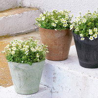 Mint, taupe, and black round planters with white flowers sitting on outside stairs