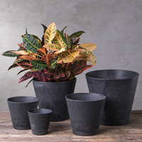 Five black round planters in different sizes with one planted