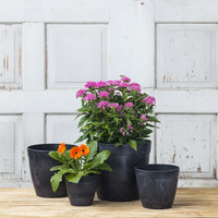 Dolce Round Planters