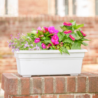 Countryside Flower Box