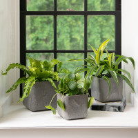 Rubi Square Planters, Set of Three