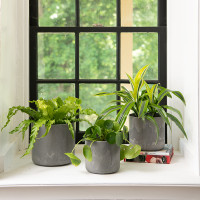 Lena Round Planters, Set of Three