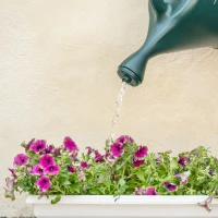 2-Gallon Classic Watering Can