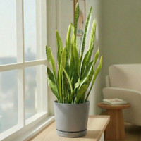 Majestic Full Depth Cylinder Planters