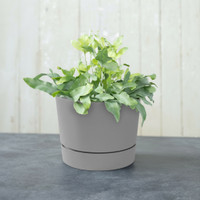 Majestic Low Profile Cylinder Pots