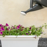 2-Gallon Mid-Mod Watering Can