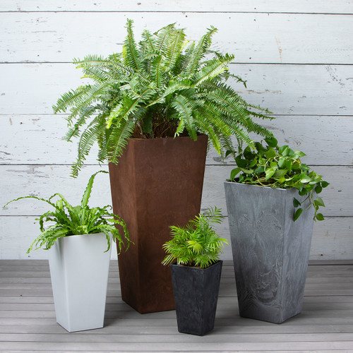 Planters and Pots: What's the Difference? – Root & Vessel