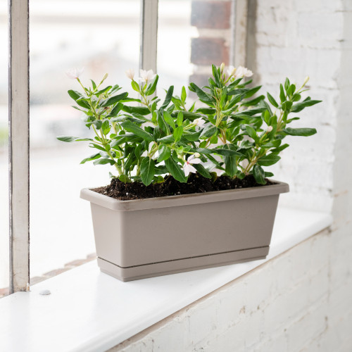 Pots & Planters for Sale | Decorative Planter Pots | Root & Vessel