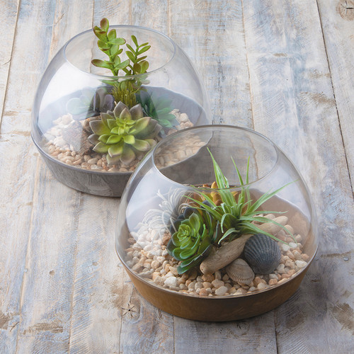 Napa Terrarium Planters