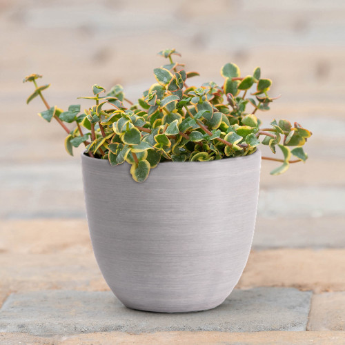 Bola Round Planters - Sanded