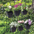 Vertical display of six wall planters on an iron rack