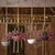 Napa Hanging Bowl Planters
