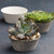 Napa Small Bowl Planters