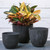 Fiji Round Planters, Set of Three