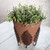 Botanical Leaf Plant Stand