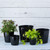 Majestic Full Depth Cylinder Planters
