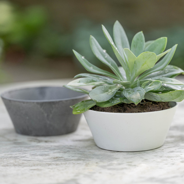 Napa Small Bowl Planters