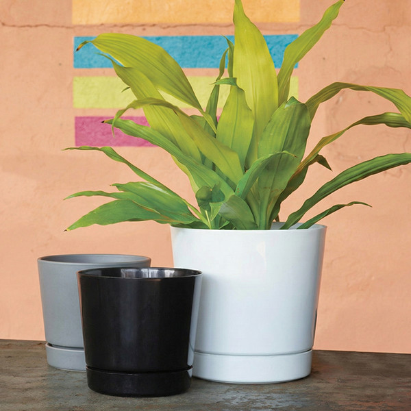 Cylinder Plant Pot | Decorative Planters | Root & Vessel