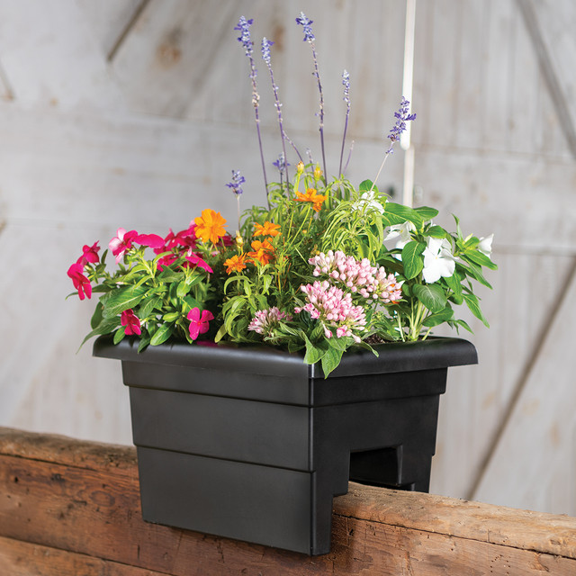 Black Railing Planter with Flowers on a Rustic Fence