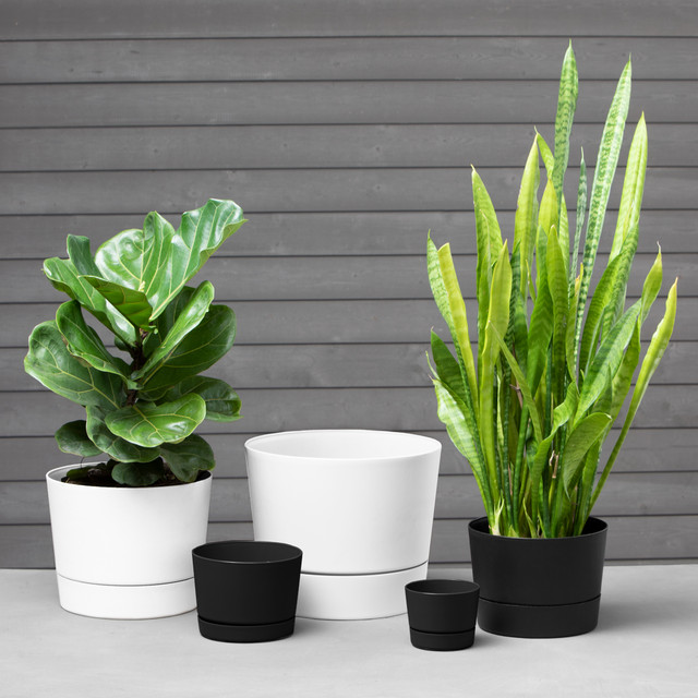 Majestic Low Profile Cylinder Pots