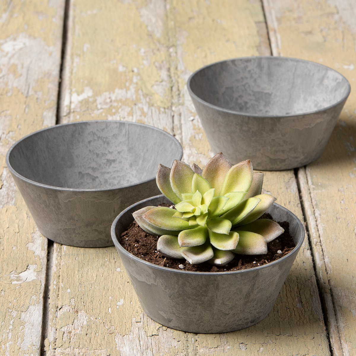 Small Bowl Planters | Artstone Resin | Root & Vessel