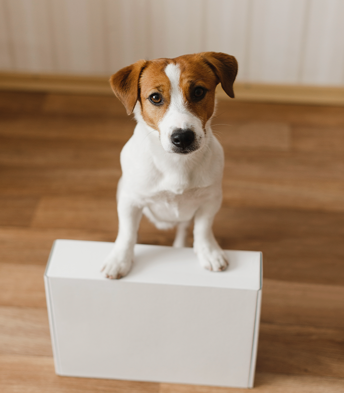 Reparto a domicilio de productos veterinarios
