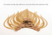 LENGTHS - 7pcs Clip-On Extensions