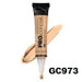 HD Pro Concealer
