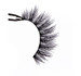 Iconic Collection Natural Icon Eyelashes