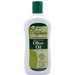 Extra Virgin Olive Oil Moisturizing Body Lotion
