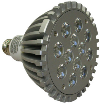 TPI Corp. LED Replacement Bulb (1 EA/BX)