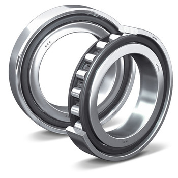 NSK Bearing N1016BTKRCC1P4