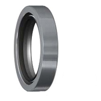 SKF 1700953 Oil Seal
