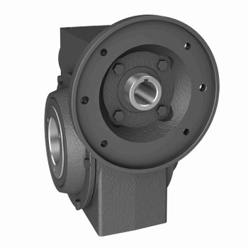 Hub City Cast Iron Single-Reduction Worm Reducer - 455 20/1 A WR 213TC