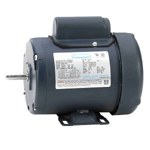 Leeson 100955.00