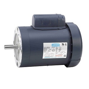 Leeson 110041.00