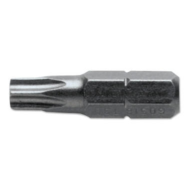 Proto BIT INSERT T6 TORX 1/4HE (25 BIT / BAG)