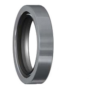 SKF 1700953 Oil Seal