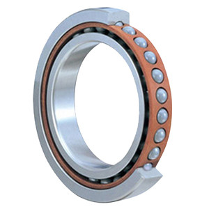 SKF 6205 TN9/C4 Single Row Ball Bearing