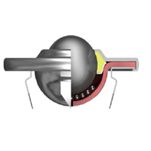 SKF BT 1010-13 Ball Transfer Unit