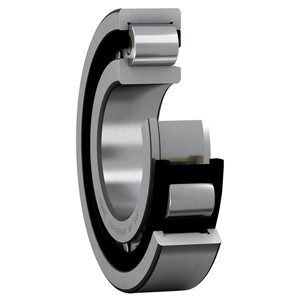 SKF NJ 2326 ECPA/C5H Cylindrical Roller Bearing