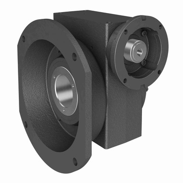 Hub City Cast Iron Single-Reduction Worm Reducer - 456 60/1 L WR 56C